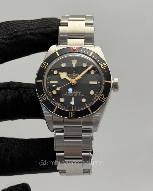 Tudor Blackbay 58 Stainless Steel